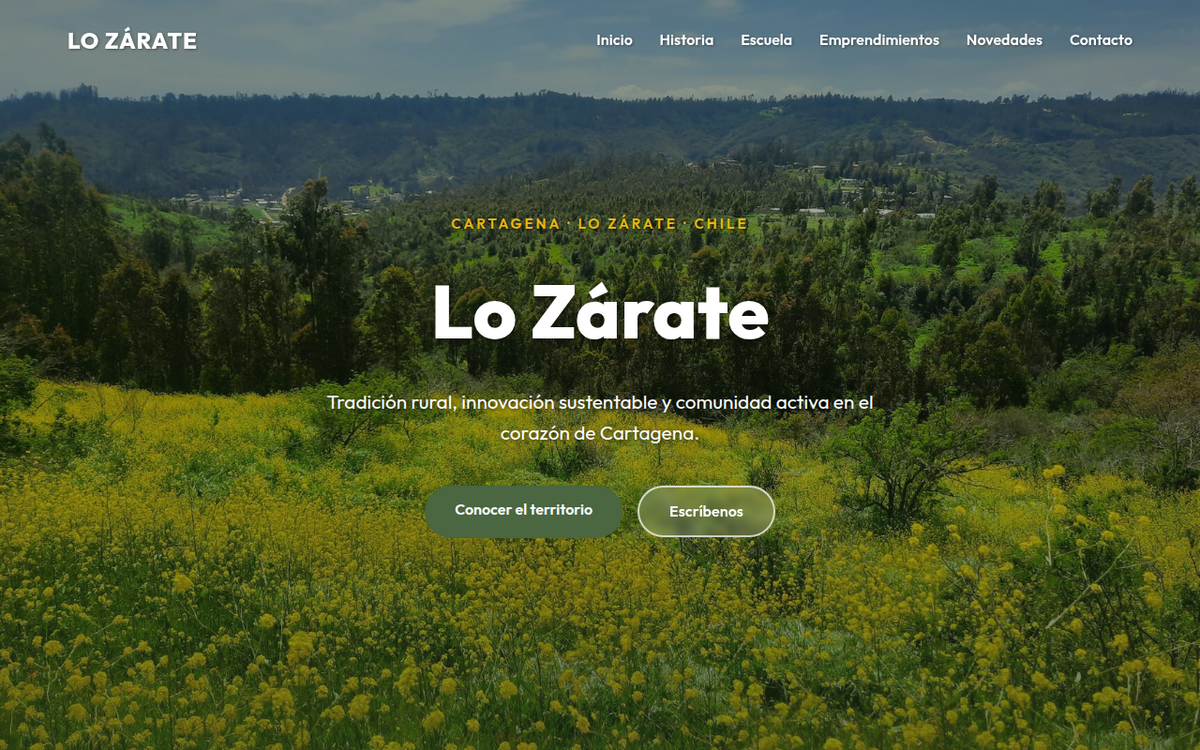 Captura de pantalla del proyecto Lo Zárate